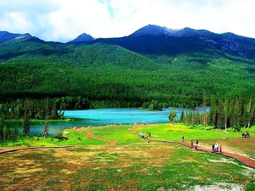 ��Ʒ������