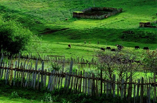 ����ԴȪ&mdash;&mdash;���ϴ�����