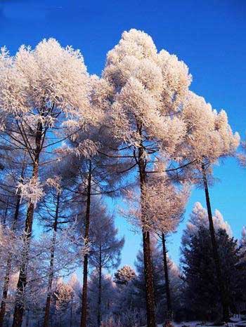 �������ɻ��� ������ڡ&mdash;&mdash;���ܶ��������Ȼ֮��