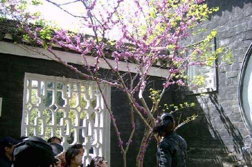 �������� ÷԰��÷&mdash;&mdash;÷�����Կຮ�������ܺ�÷��ѩ