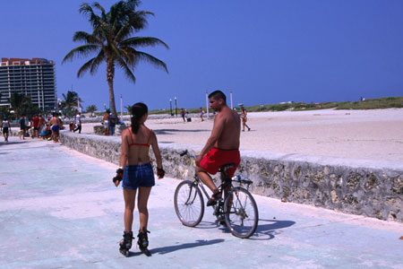 ���� ������