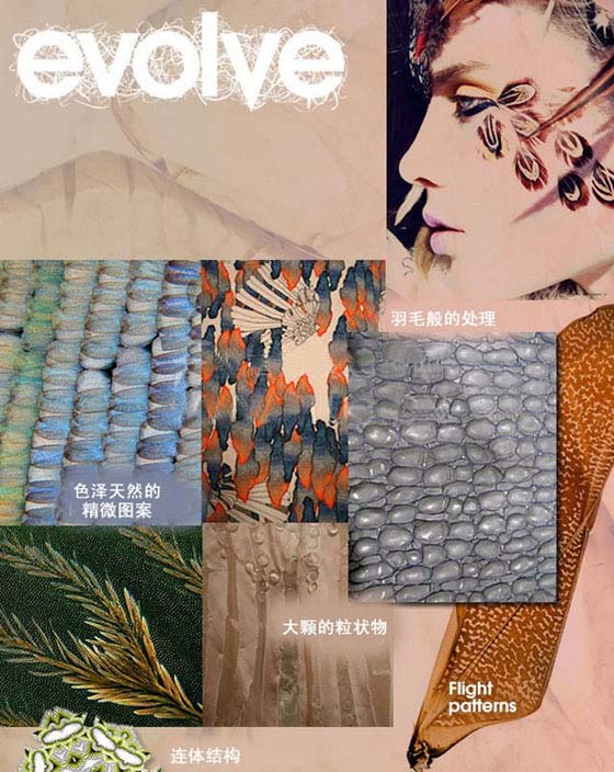 ��Ʒ������