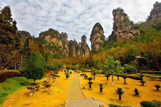 ��Ʒ������