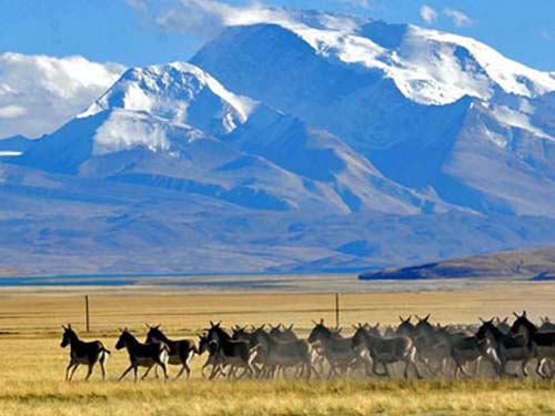 ��Ʒ������