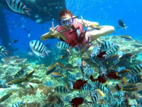 ��Ʒ������