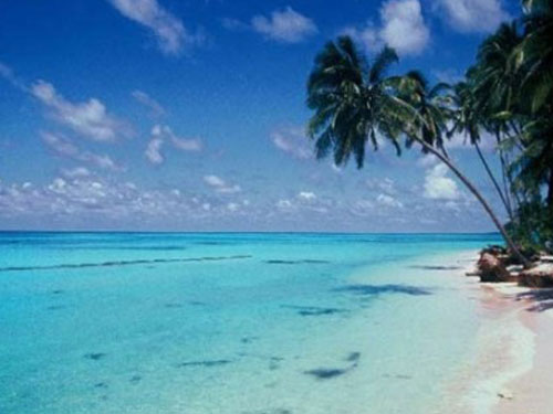 ��Ʒ������