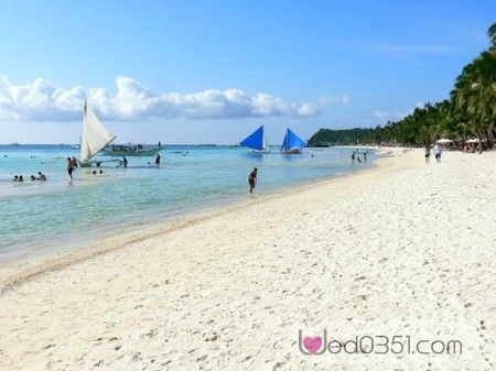 ��Ʒ������