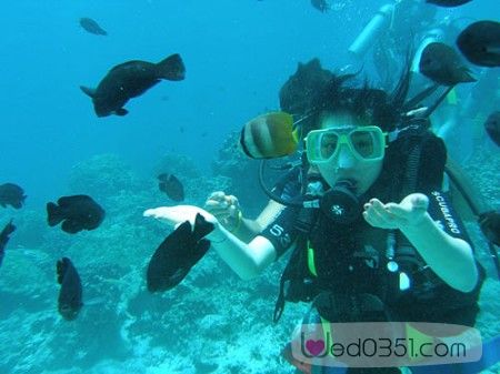 ��Ʒ������