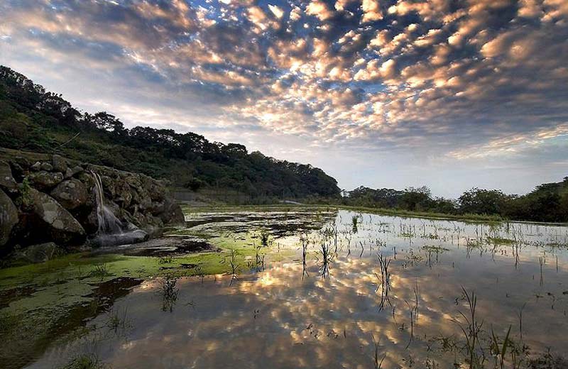 ��Ʒ������