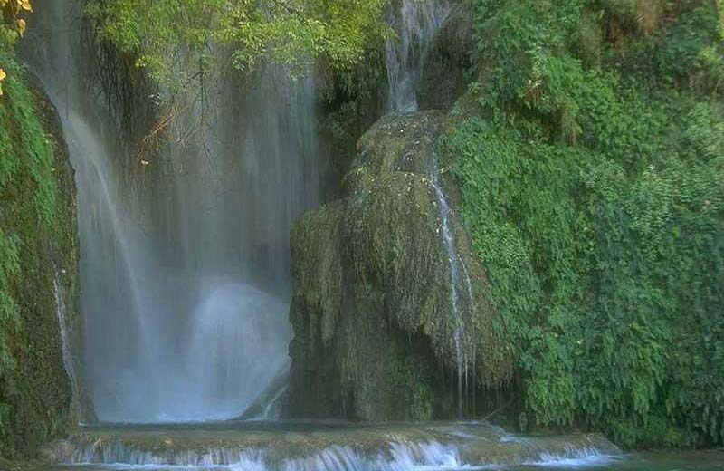 ��Ʒ������