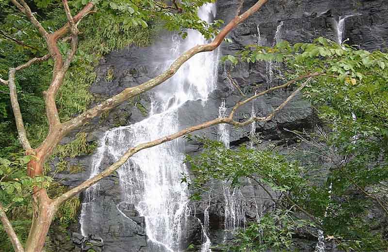 ��Ʒ������