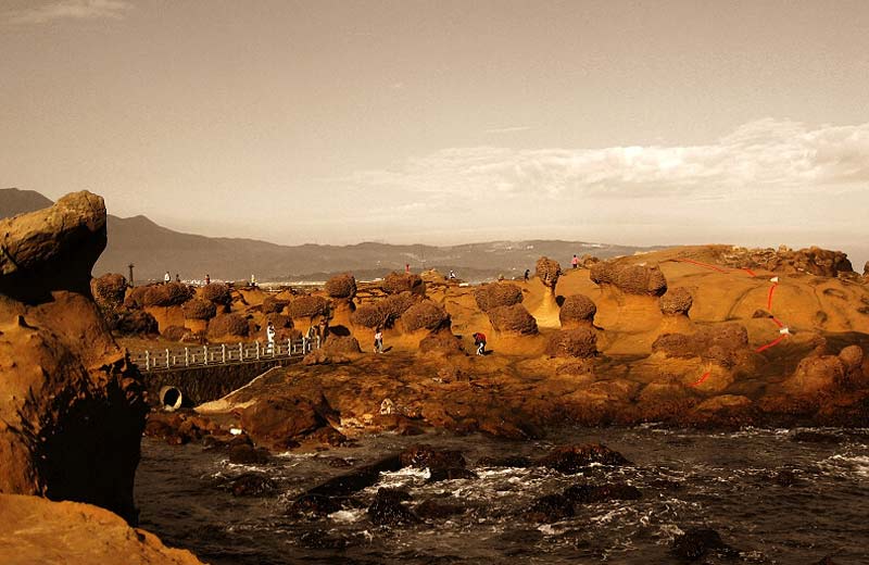 ��Ʒ������