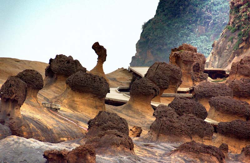 ��Ʒ������