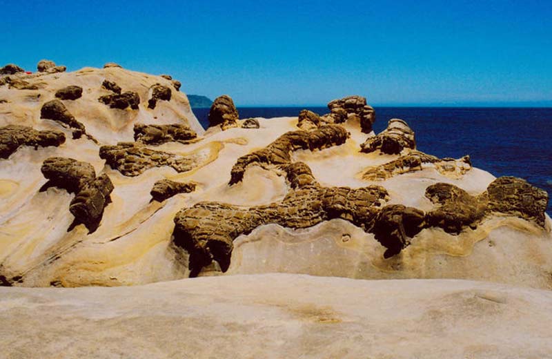 ��Ʒ������