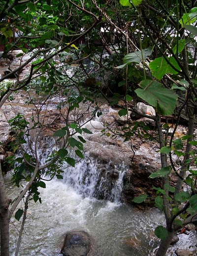 ��Ʒ������