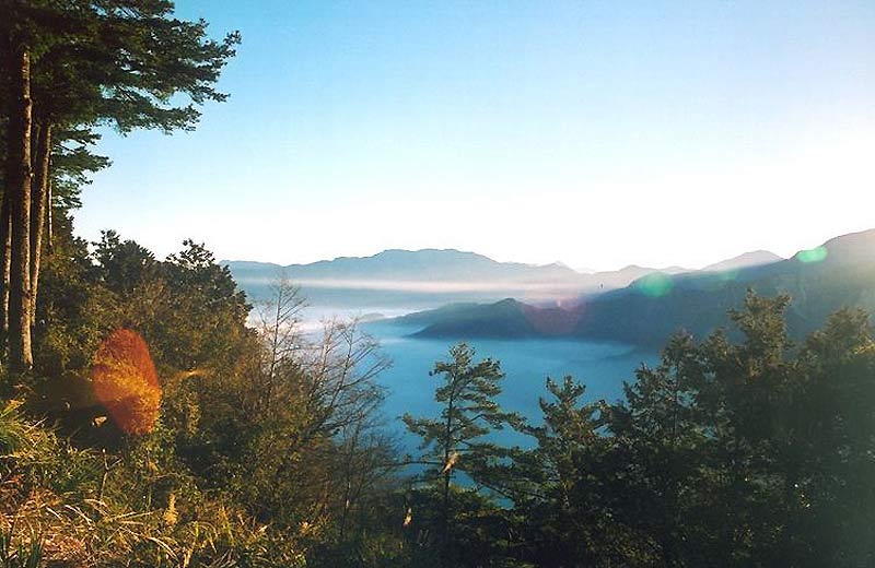 ��Ʒ������