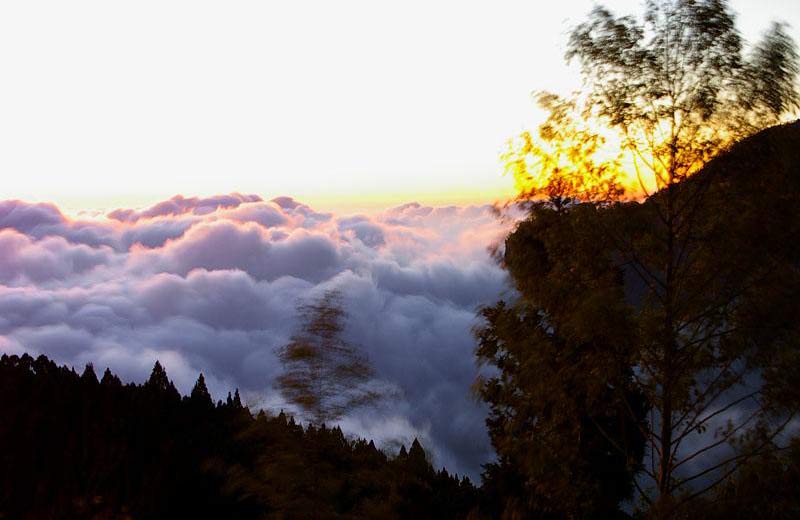 ��Ʒ������