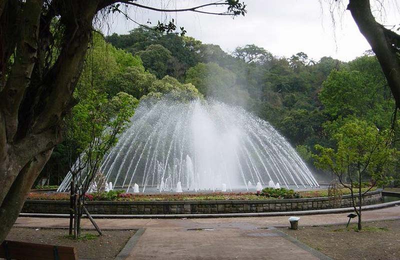 ��Ʒ������