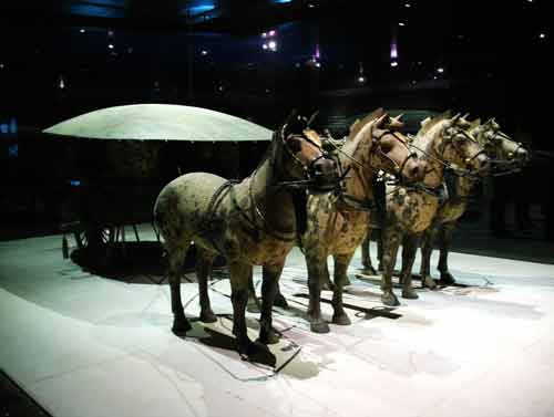 ��Ʒ������