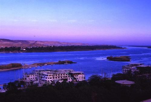 �������޺�