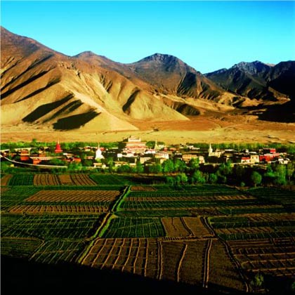 精品消费网 精品消费网