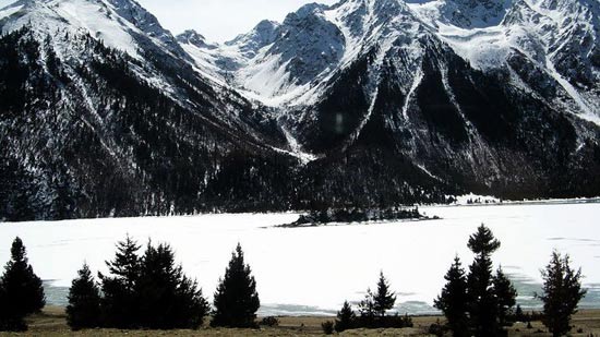 精品消费网 精品消费网