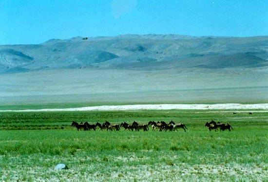 精品消费网 精品消费网