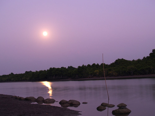 ��Ʒ������