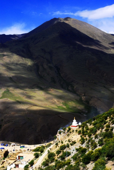 ��Ҷ����