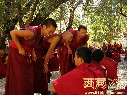 ɫ���£����ص�Ұõ��԰