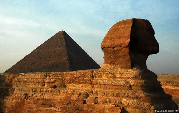 ��Ʒ������