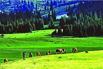 ��Ʒ������