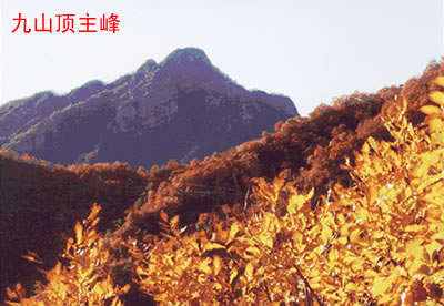 ��Ʒ������