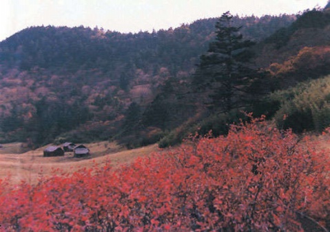 ��Ʒ������