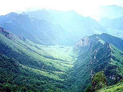 ��Ʒ������