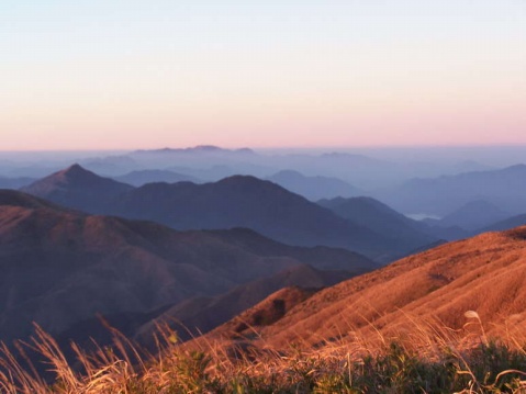 ��Ʒ������