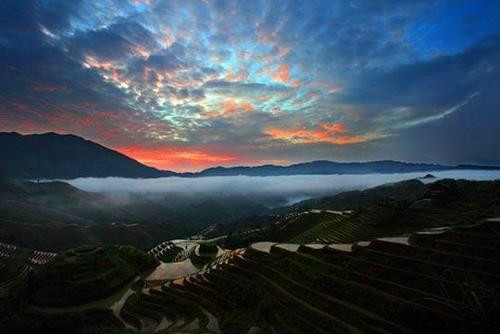 ��Ʒ������