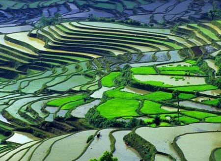 ��Ʒ������