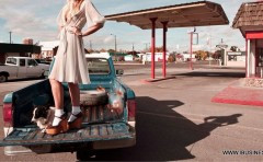 ��Ʒ������