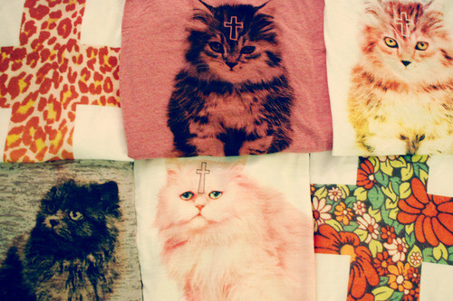 ��Ʒ������