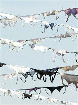 ��Ʒ������