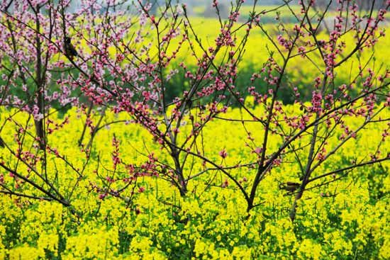 精品消费网 精品消费网