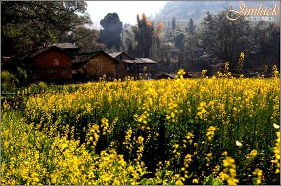 精品消费网 精品消费网