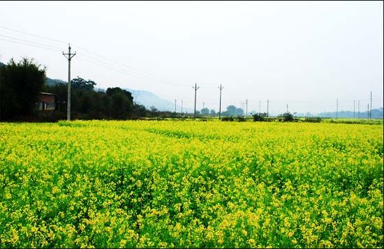 精品消费网 精品消费网