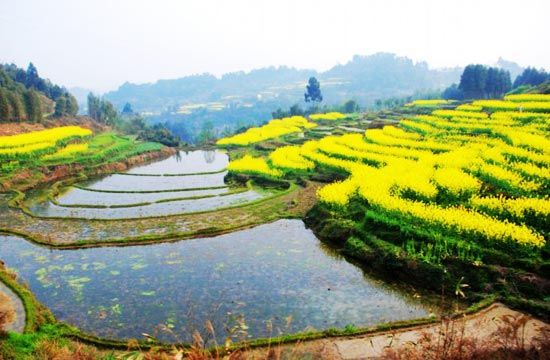 精品消费网 精品消费网