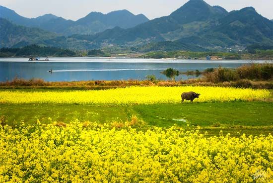 精品消费网 精品消费网