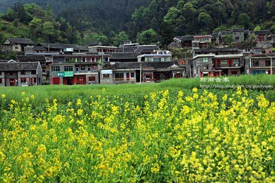 精品消费网 精品消费网