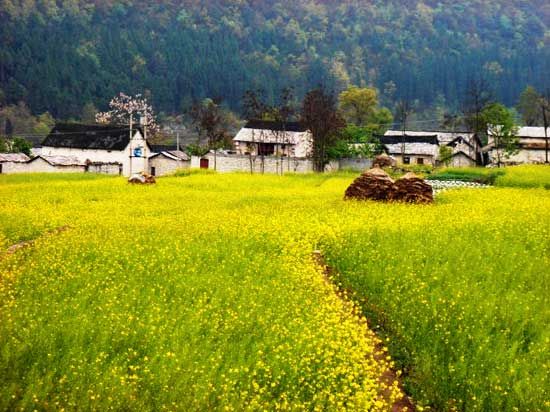 精品消费网 精品消费网