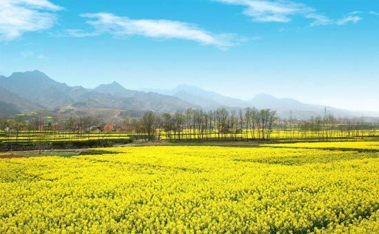 精品消费网 精品消费网