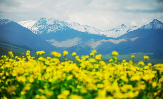 精品消费网 精品消费网